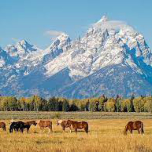 Meet your Posher, Danica - Picture 1 of 1